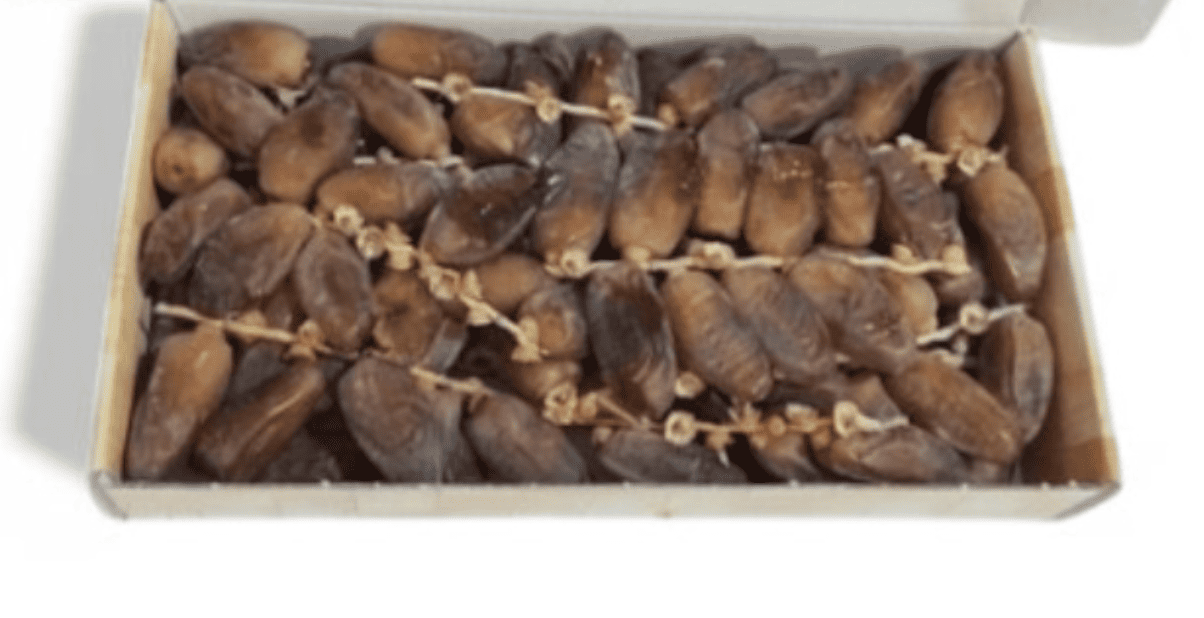 Deglet Nour Datteln aus Tunesien, 1 kg – frische & süße Datteln