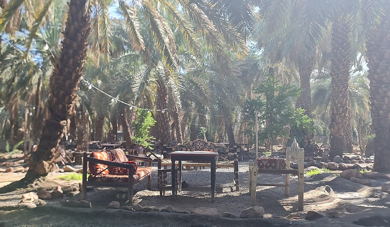 Sitzbereich in einer Dattelplantage mit Palmen und einem Tisch, umgeben von natürlicher Schönheit und traditionellem Ambiente.