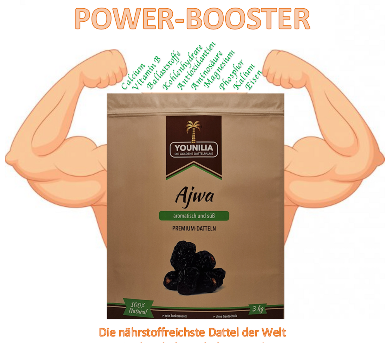 Ajwa Datteln (3 kg Packung) mit dem Text 'Power-Booster' und Nährstoffangaben wie Calcium, Vitamin B, Magnesium und mehr. Verpackung der Datteln und Illustration eines muskulösen Arms.